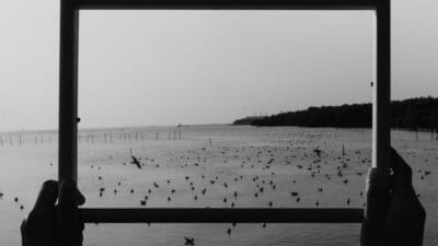 Monokrom, Mengungkap Makna di Balik Kesederhanaan Visual