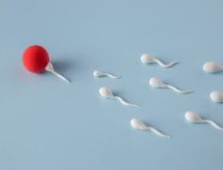 Bagaimana Fertilisasi Membentuk Masa Depan Kehidupan dan Keanekaragaman Hayati?