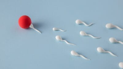 Bagaimana Fertilisasi Membentuk Masa Depan Kehidupan dan Keanekaragaman Hayati?