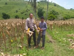 Peran Polisi di Sektor Pertanian, Ketahanan Pangan Semakin Kokoh