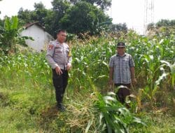 Polisi Kuripan Aktif Sosialisasi Ketahanan Pangan, Ini Langkah Konkretnya
