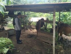 Bhabinkamtibmas Batulayar Giatkan Pemanfaatan Pekarangan, Warga Sambut Positif