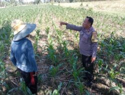 Pendampingan Bhabinkamtibmas untuk Wujudkan Swasembada Pangan