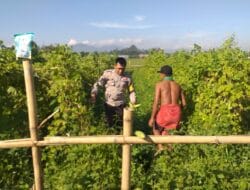 Ketahanan Pangan Dimulai dari Rumah: Inisiatif Bhabinkamtibmas Kuripan