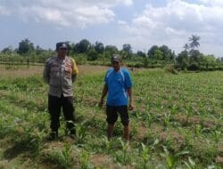 Kegiatan Polsek Gerung: Bhabinkamtibmas Kunjungi Kelompok Tani Bhineka Tani untuk Tingkatkan Ketahanan Pangan