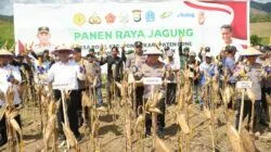 Kapolri-Mentan Panen Raya Jagung di Bone, Dukung Program Ketahanan Pangan Nasional
