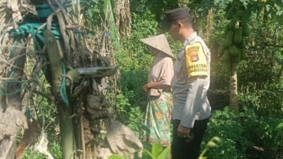 Gerung Kembangkan Pertanian dan Peternakan Demi Kemandirian Pangan