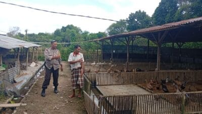 Warga Merembu Tengah Didorong Mandiri Pangan oleh Bhabinkamtibmas