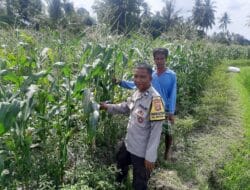 Sinergi Polri dan Petani Perkuat Ketahanan Pangan di NTB