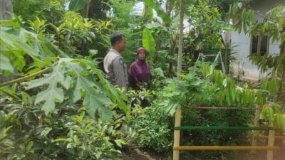 Bhabinkamtibmas Gerung Dukung Ketahanan Pangan Lewat Pekarangan Warga
