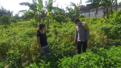 Pemanfaatan Pekarangan Rumah Didorong untuk Ketahanan Pangan di NTB