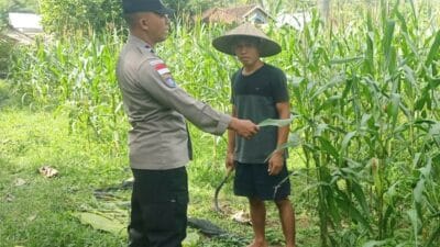 Bhabinkamtibmas Taman Baru Giat Dorong Pemanfaatan Lahan Kosong
