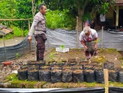 Dari Kuripan untuk Indonesia: Gerakan Kemandirian Pangan Polri