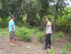Program Ketahanan Pangan Polsek Sekotong Dapat Sambutan Positif Warga