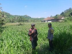 Ketahanan Pangan Nasional: Polri Turun ke Ladang Petani Lombok