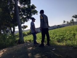 Pemanfaatan Lahan Kosong di Kuripan untuk Kemandirian Pangan