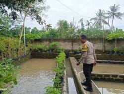 Bripka Ahmad Rosyidi Gagas Ketahanan Pangan Lokal di Lombok Barat