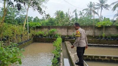 Bripka Ahmad Rosyidi Gagas Ketahanan Pangan Lokal di Lombok Barat