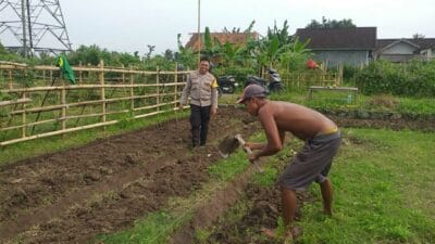 Program Pangan Keluarga: Polsek Kuripan Gandeng Petani Lokal