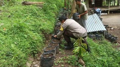 Bhabinkamtibmas Batulayar Dampingi Warga Tingkatkan Kemandirian Pangan