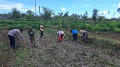 Ketahanan Pangan Dimulai dari Desa Pelangan, Lombok Barat