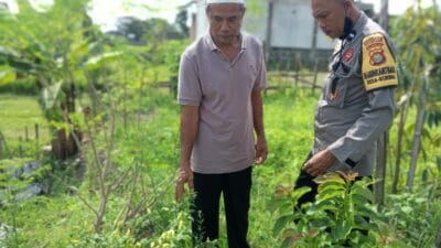 Sosialisasi Ketahanan Pangan oleh Polri di Kecamatan Kuripan