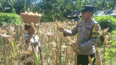 Dukung Swasembada Pangan, Bhabinkamtibmas Desa Taman Baru Sapa Petani