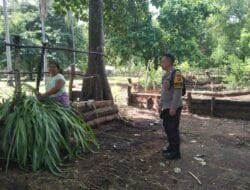 Dusun Batubolong Bergerak: Polri Dorong Pemanfaatan Pekarangan Rumah