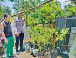 Bhabinkamtibmas Bajur Edukasi Warga Manfaatkan Pekarangan