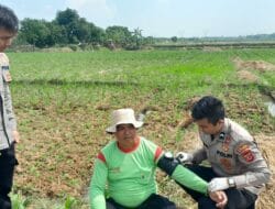 Bripda Iqbal dan Kisah Pengabdian di Ladang