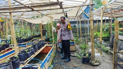 Bhabinkamtibmas Desa Bajur Dorong Kemandirian Pangan Warga Tempit