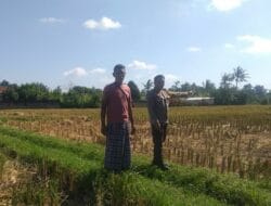 Desa Jagaraga Jadi Percontohan Ketahanan Pangan Berbasis Keluarga