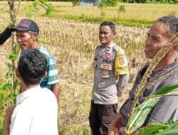 Dukung Ketahanan Pangan, Bhabinkamtibmas Rumak Edukasi Pemanfaatan Lahan Pekarangan