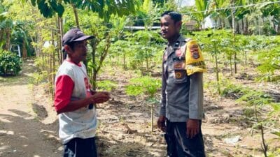 Kreativitas Pangan Rumah Tangga: Polsek Kediri Edukasi Warga Rumak Tanam Pepaya