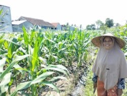 Polsek Labuapi Aktif Dukung Ketahanan Pangan Berbasis Pekarangan