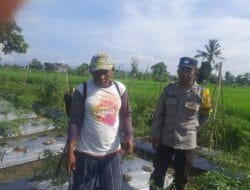 Polri Kawal Ketahanan Pangan hingga Pelosok: Aksi Nyata di Montong Are, Lombok Barat