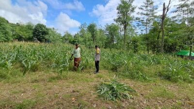 Bhabinkamtibmas Pelangan Dorong Ketahanan Pangan dari Pekarangan Warga Sekotong