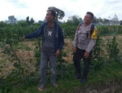 Sosialisasi Humanis Bhabinkamtibmas di Beremi, Lahan Pekarangan Kini Jadi Harapan