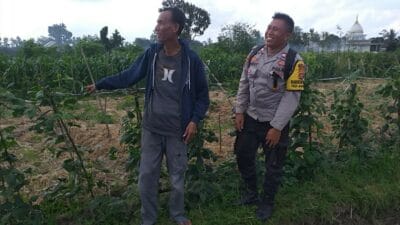 Sosialisasi Humanis Bhabinkamtibmas di Beremi, Lahan Pekarangan Kini Jadi Harapan
