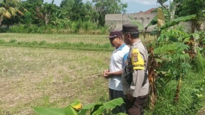 Pekarangan Produktif: Inisiatif Ketahanan Pangan di Dusun Dawung