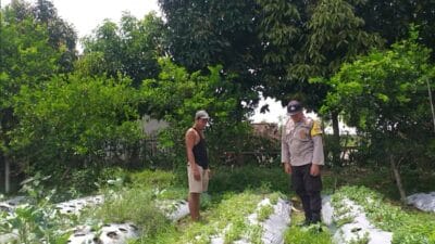 Bhabinkamtibmas Aktif di Desa Jagaraga, Warga Diajak Tanam Sayur Lewat Polibag