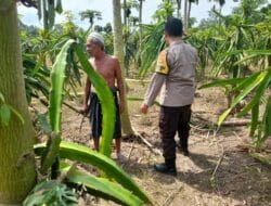 Ketahanan Pangan Diperkuat, Polres Lombok Barat Turun ke Ladang
