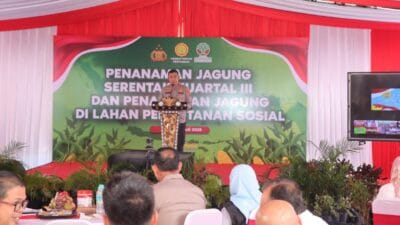 Polda NTB Kolaborasi Tanam Jagung di Lahan Sosial, Perkuat Ketahanan Pangan Lokal