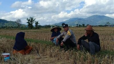 Peran Polisi di Ladang Jagung: Kolaborasi Ketahanan Pangan di Lintak Buwur