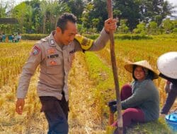 Ketahanan Pangan Dimulai dari Desa: Inisiatif Bhabinkamtibmas Kuripan Disambut Warga