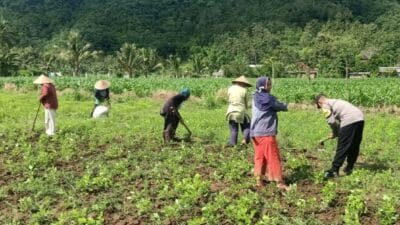 Ketahanan Pangan Berbasis Rumah Mulai Diterapkan di Karang Rumak