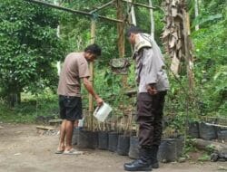 Warga Batulayar Kembangkan Pembibitan Cabai, Polisi Hadir Beri Pendampingan