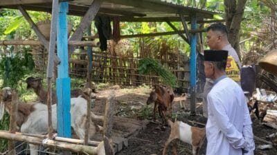 Dari Senggigi untuk NTB: Gerakan Polsek Batulayar Menanam dan Mandiri Pangan
