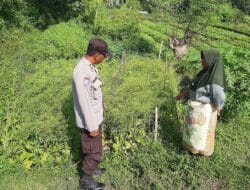 Peran Aktif Polri dalam Ketahanan Pangan: Inspirasi dari Desa Montong Are