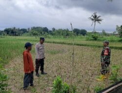 Bhabinkamtibmas Kawal Langsung Ketahanan Pangan di Dusun Nyiur Gading
